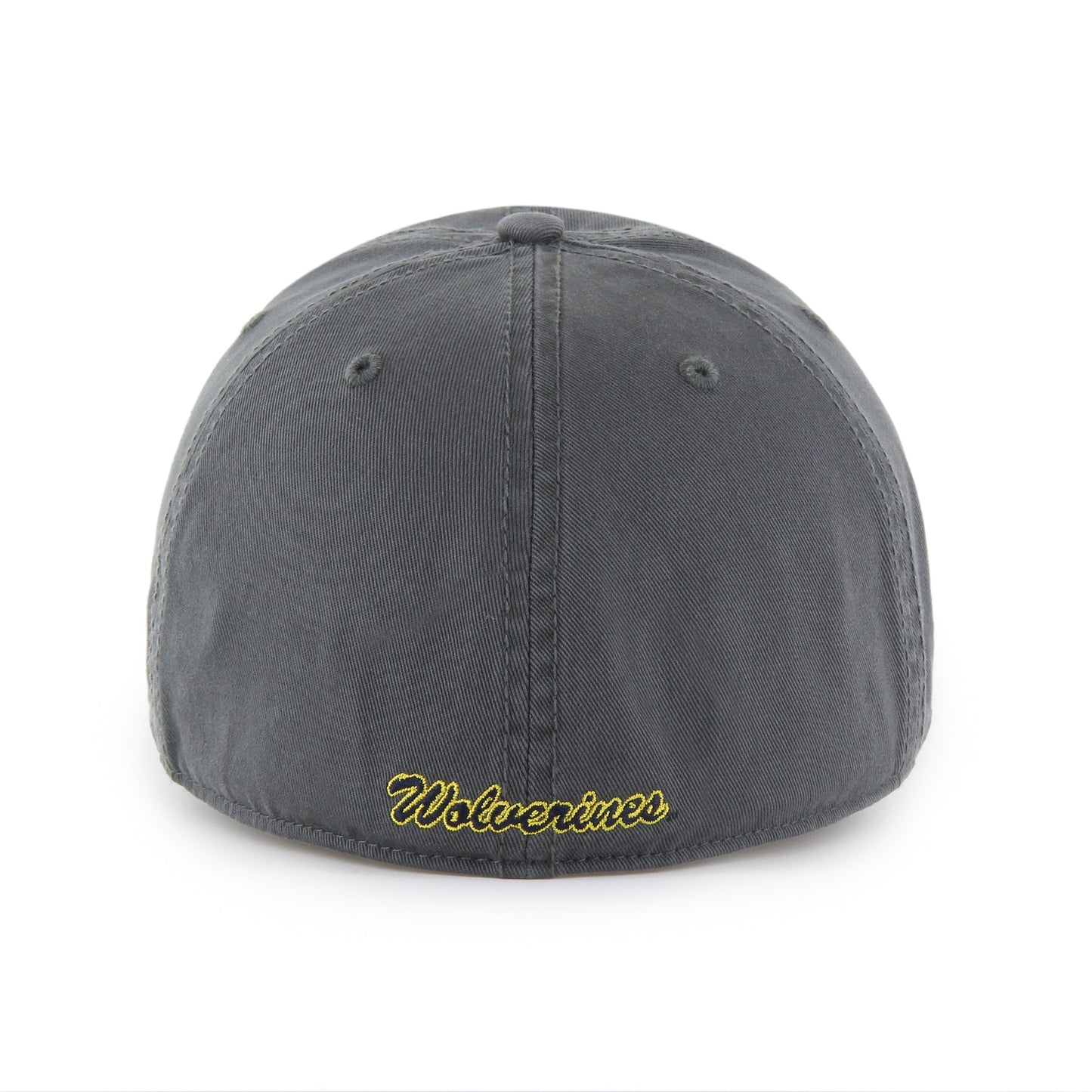 MICHIGAN WOLVERINES CLASSIC '47 FRANCHISE