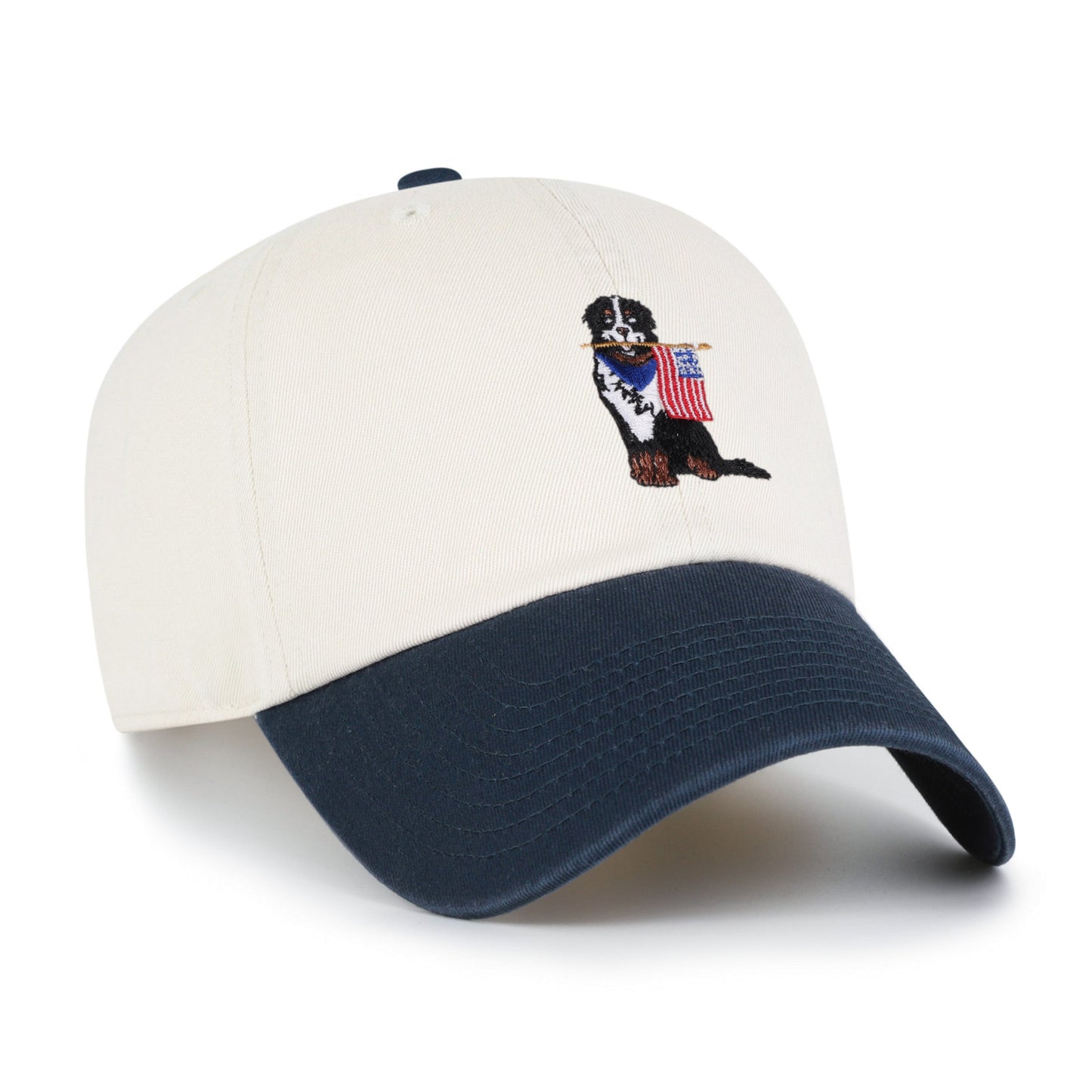 Bernese Mountain Dog Two Tone '47 Clean Up