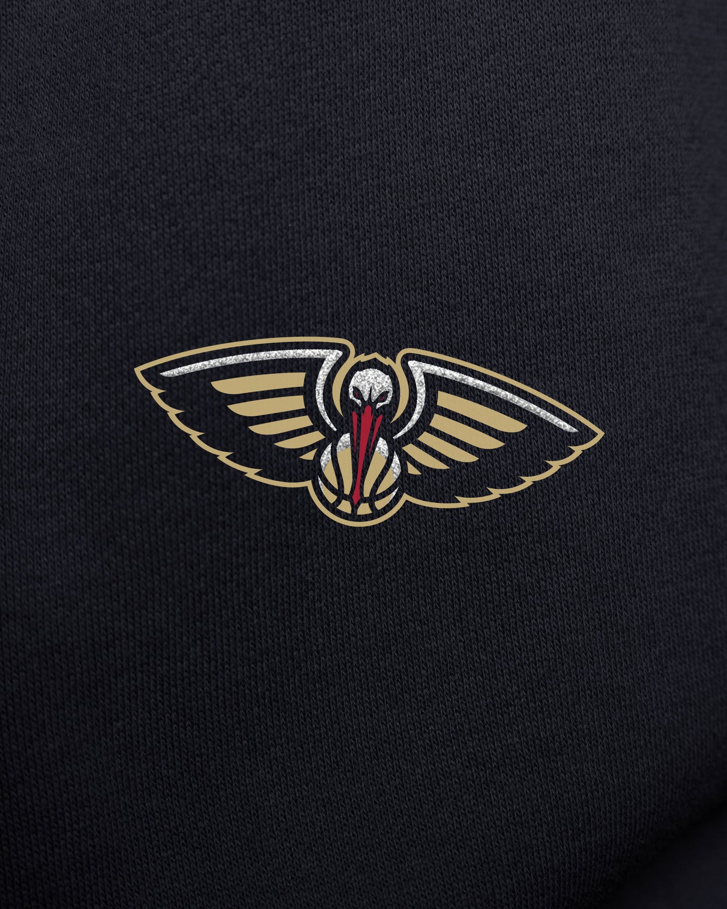 NEW ORLEANS PELICANS GO BIG '47 OVERSIZED CREW WOMENS