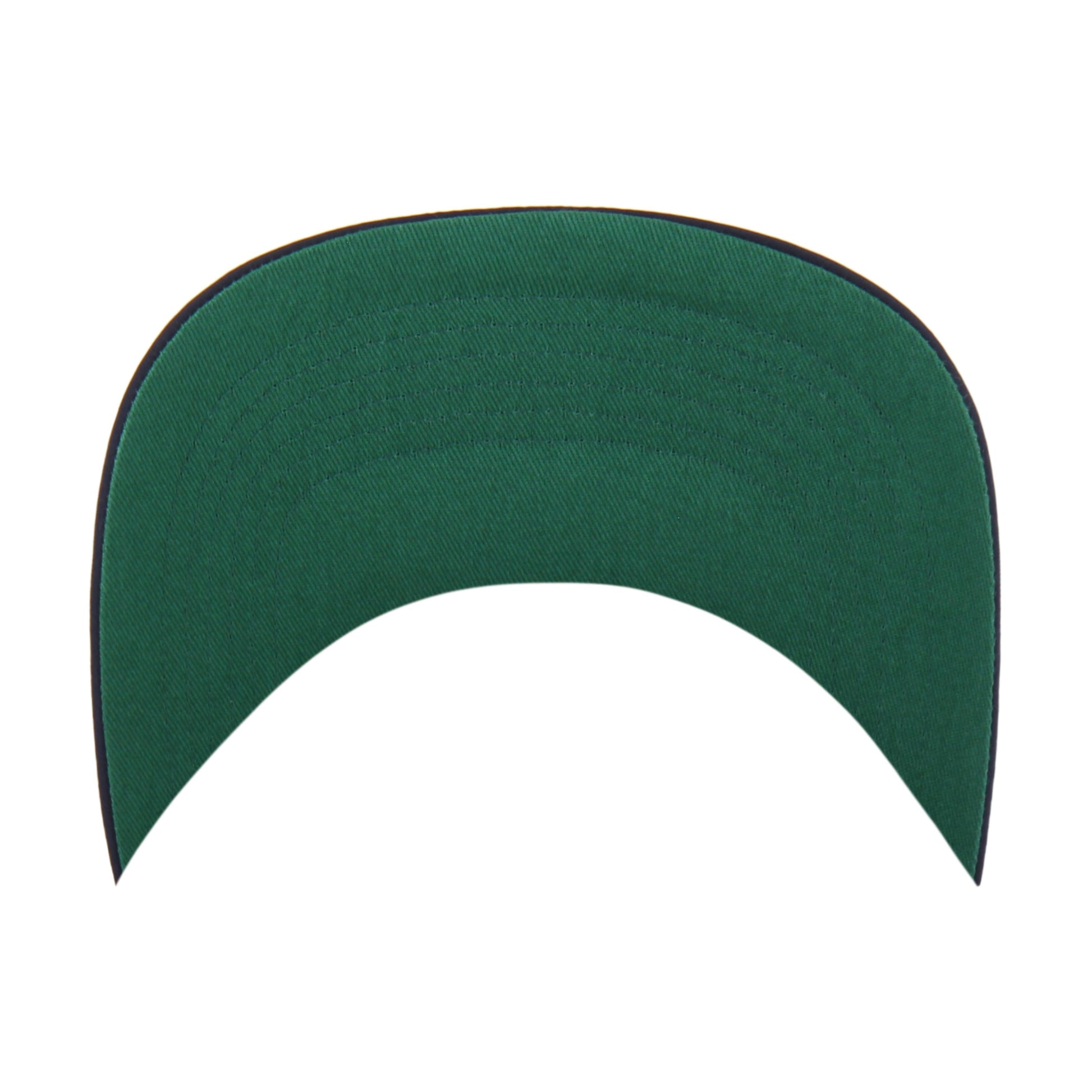 MINNESOTA TWINS FRAME OUT NYLON '47 HITCH