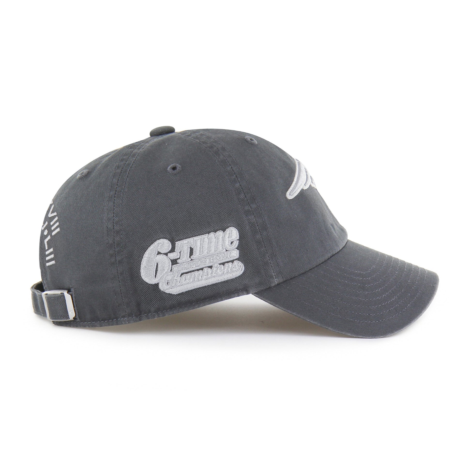NEW ENGLAND PATRIOTS SUPER BOWL '47 CLEAN UP