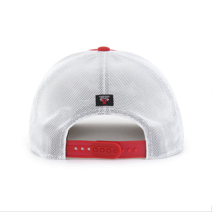 CHICAGO BULLS DOWNBURST '47 TRUCKER