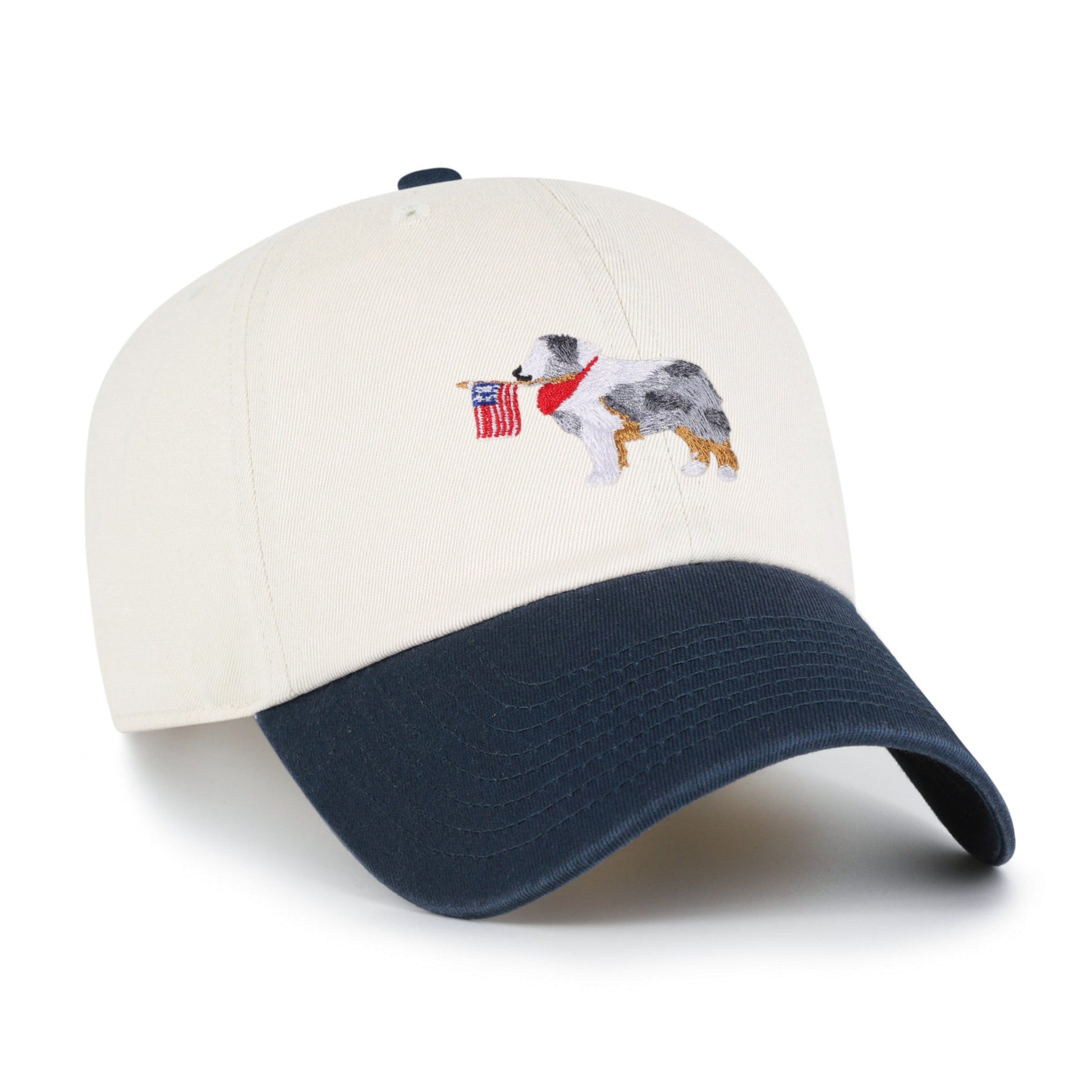 Australian Shepherd Two Tone '47 Clean Up