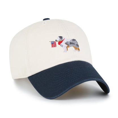 Australian Shepherd Two Tone '47 Clean Up