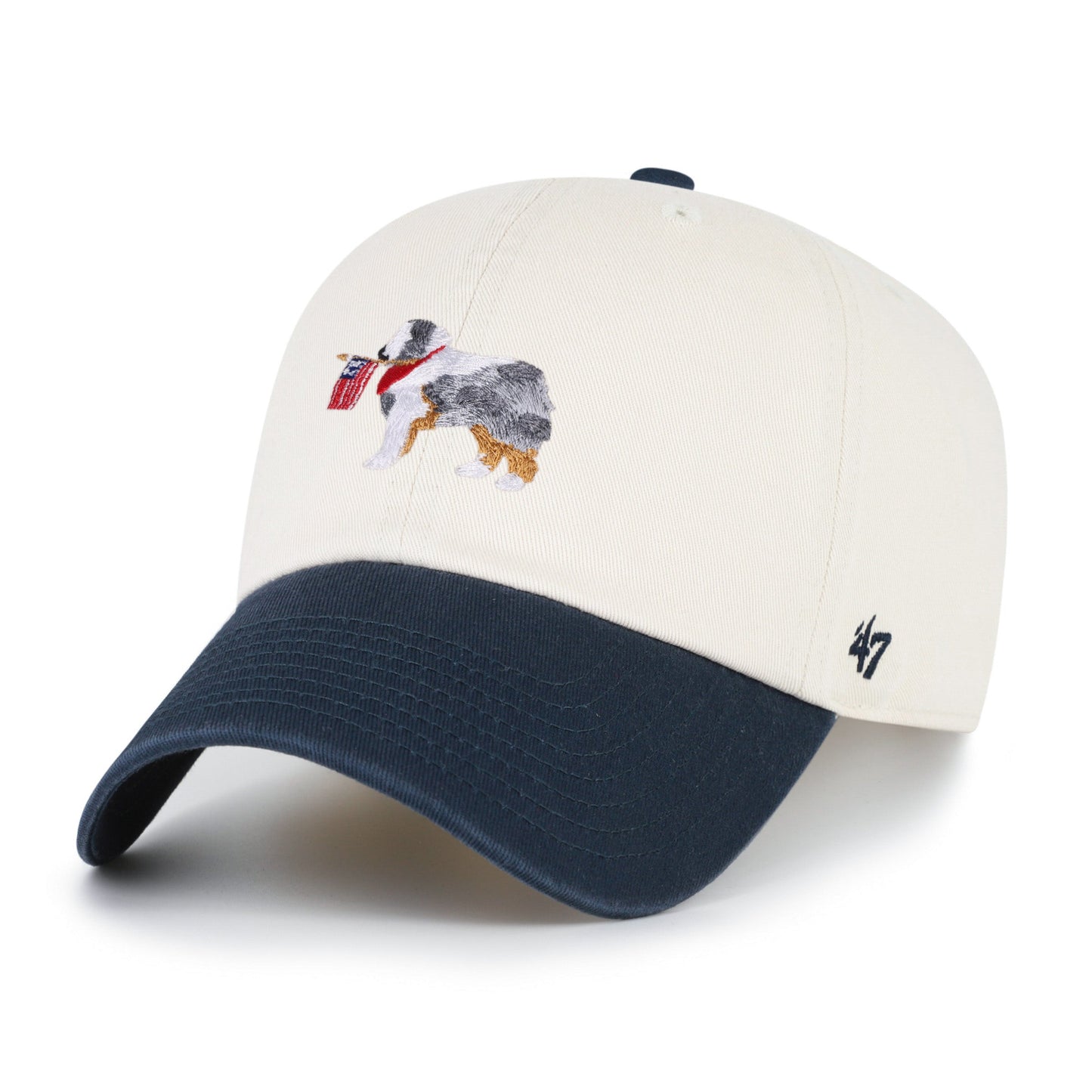 Australian Shepherd Two Tone '47 Clean Up