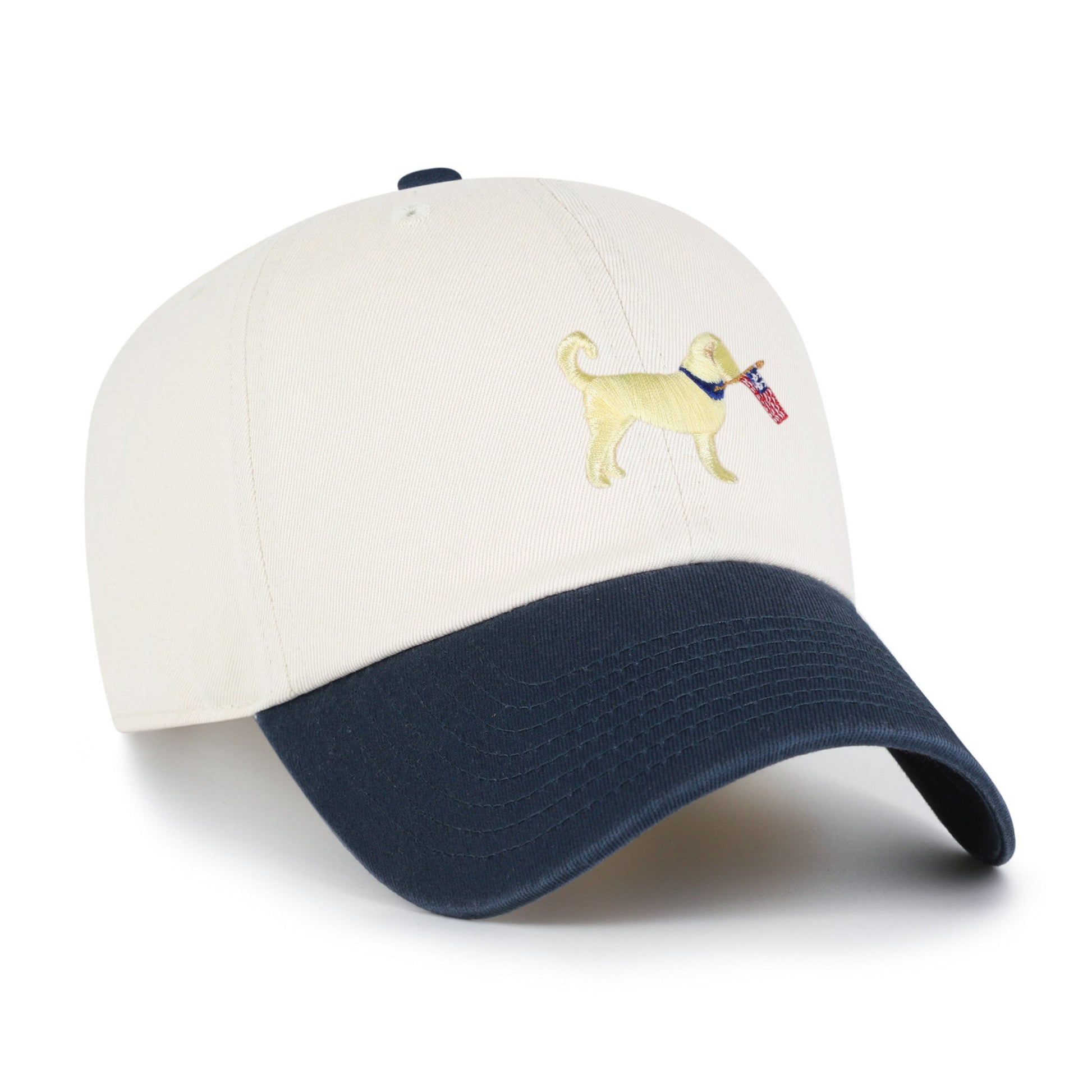 Goldendoodle Two Tone '47 Clean Up