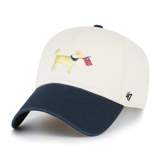 Goldendoodle Two Tone '47 Clean Up