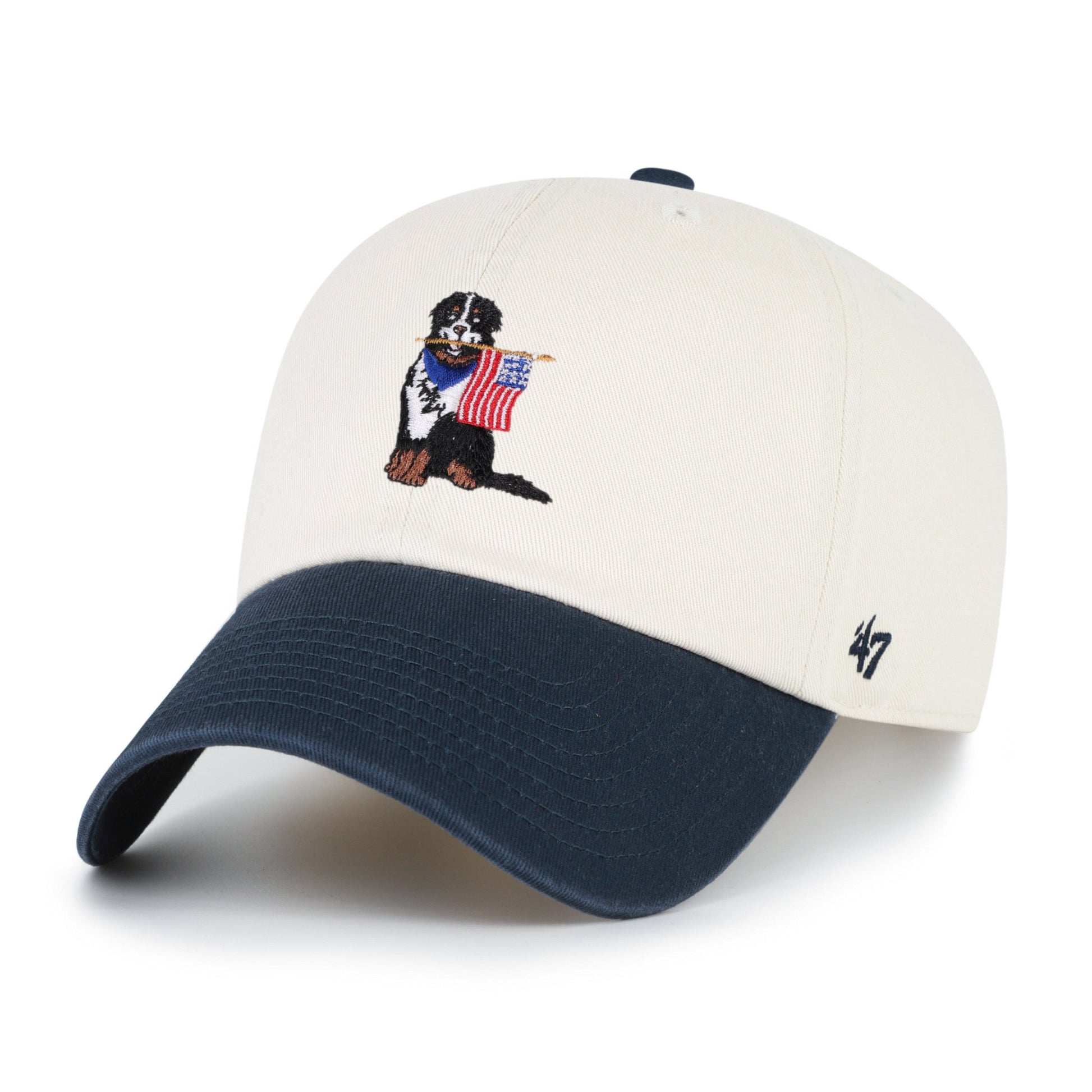 Bernese Mountain Dog Two Tone '47 Clean Up